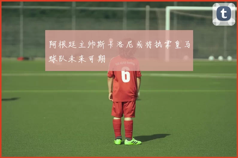 阿根廷主帅斯卡洛尼或将执掌皇马球队未来可期