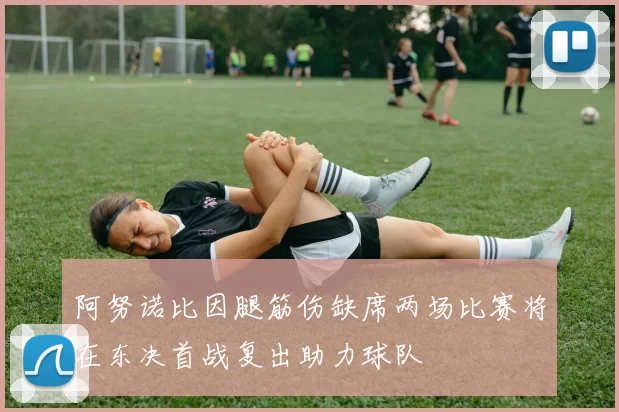阿努诺比因腿筋伤缺席两场比赛将在东决首战复出助力球队